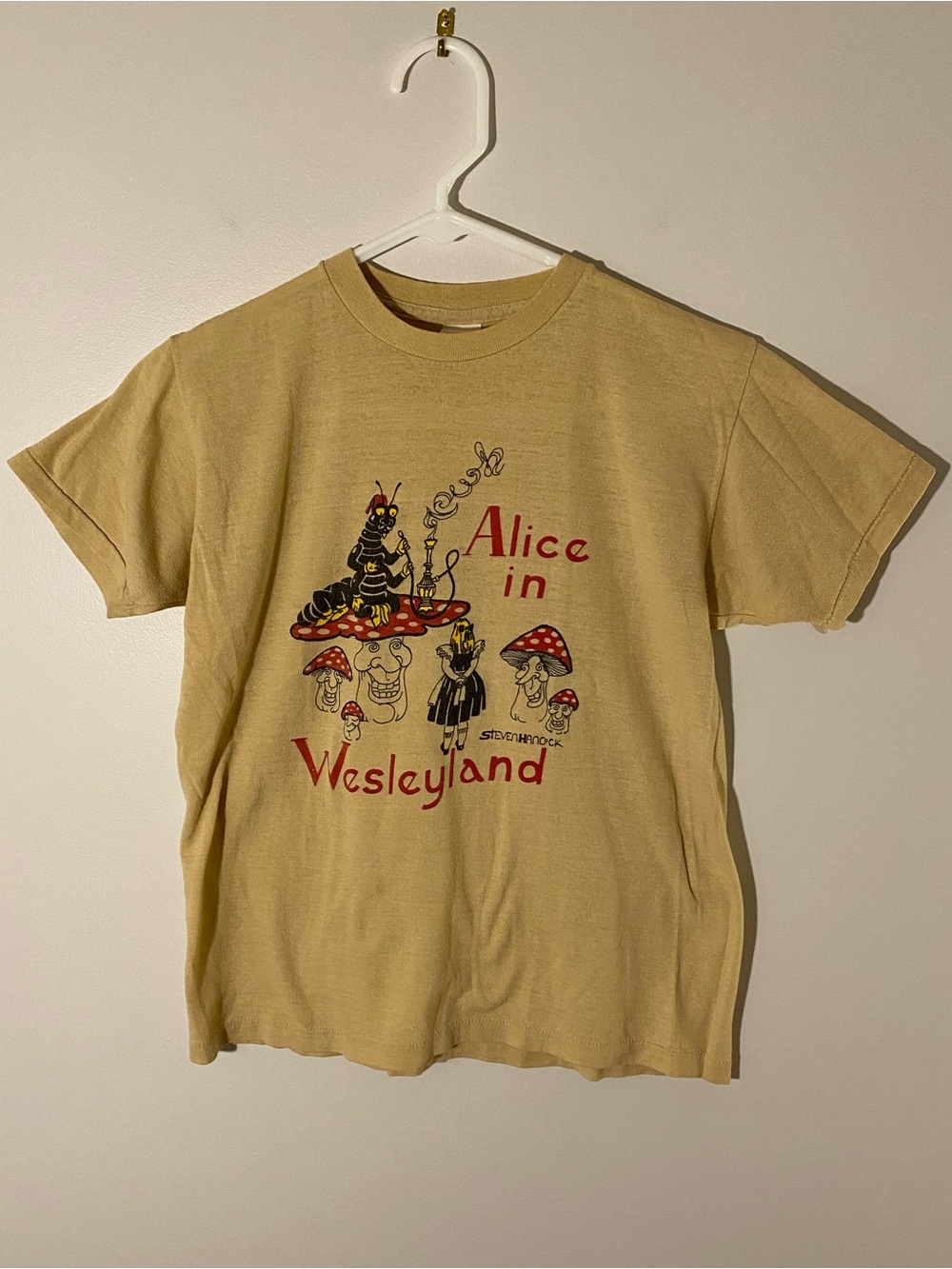 Vintage 1982 Wesley Sigma Pi Picnic T-Shirt Alice in Wesleyland Graphic Tee